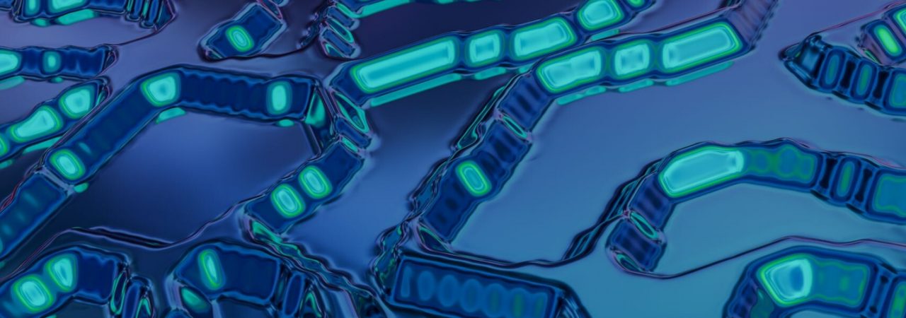 Forschungsträger in Brandenburg sucht Referent:in Wissenschaftsmanagement