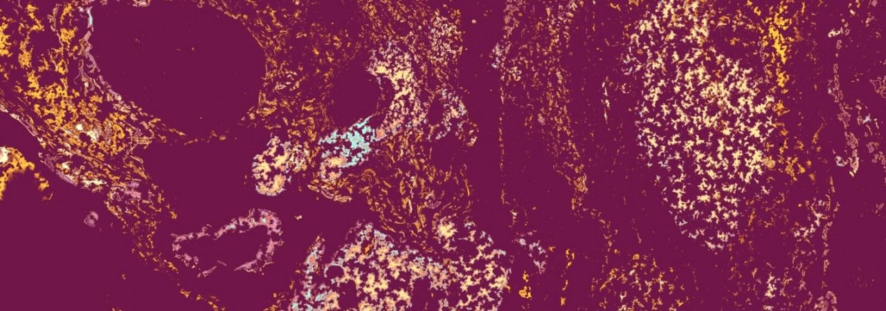 Top Stelle: Facharzt Pathologie für MVZ in Bayern