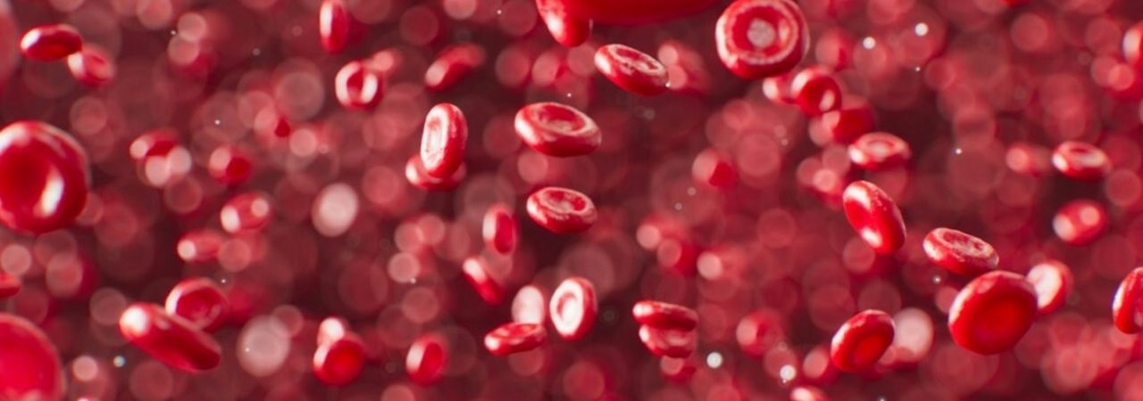 Neuer Assistenzarzt-Job Transfusionsmedizin in Westdeutschland