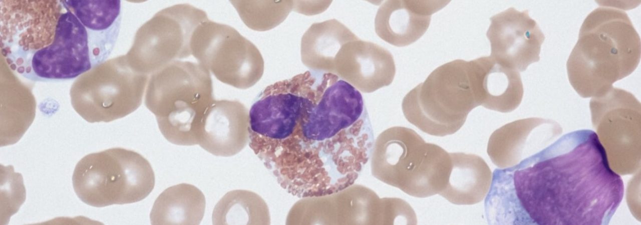 Neuer Top-Job: Oberarzt Pathologie in Bayern gesucht