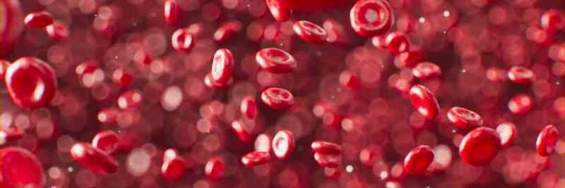 Neuer Assistenzarzt-Job Transfusionsmedizin in Westdeutschland