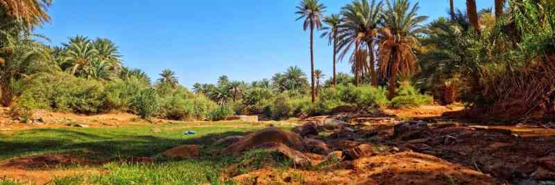 Leitung Verwaltung & Management in Ghana – neue Top-Position